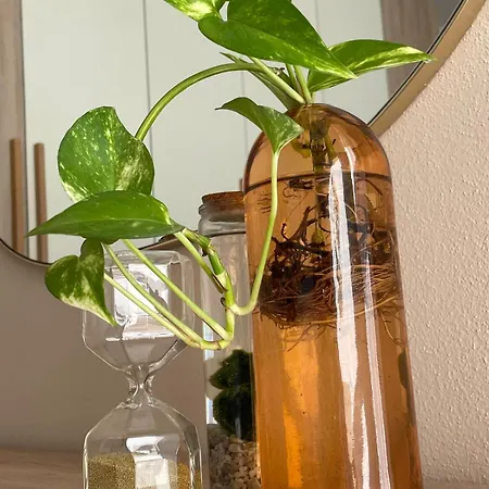 Urban Jungle Apartment Selargius